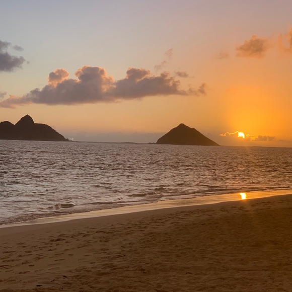 Meet your Posher, Katie - Picture 1 of 1